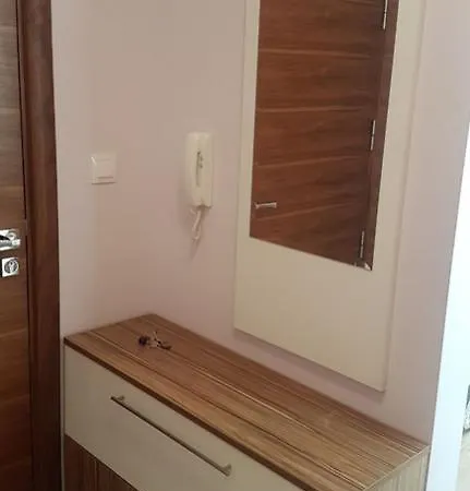 Aristo Sveti Vlas